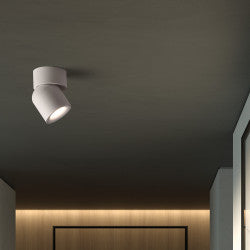 Spot apparent orientable noir GU10